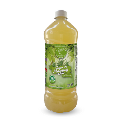 Jugo de Maguey Original