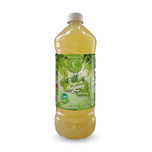 Jugo de Maguey Original