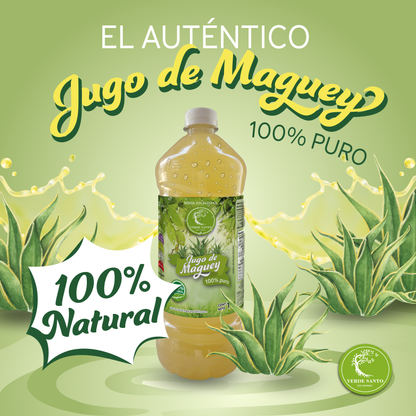 Jugo de Maguey Original